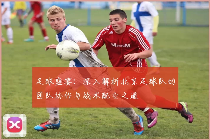 足球盛宴：深入解析北京足球队的团队协作与战术配合之道