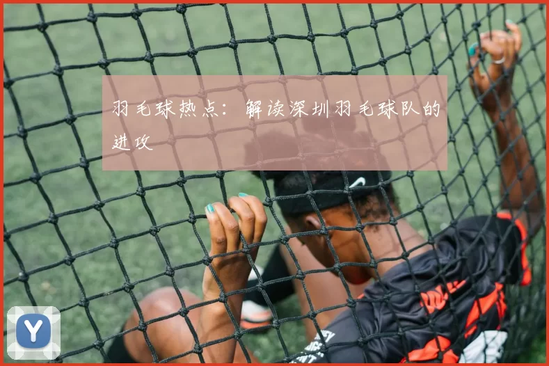 羽毛球热点：解读深圳羽毛球队的进攻